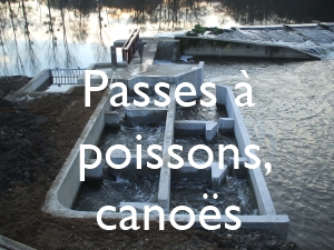 Passes à poissons, canoës